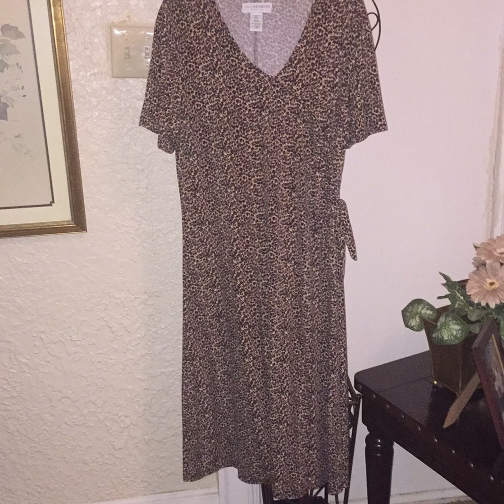 Leopard Print Dress - Picture 2 of 4